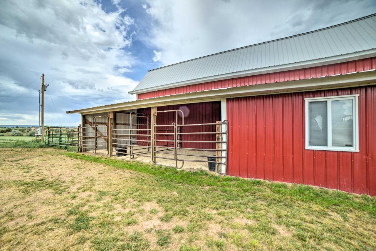 Walkout Apartment With Mtn View On Cortez Ranch Eksteriør billede