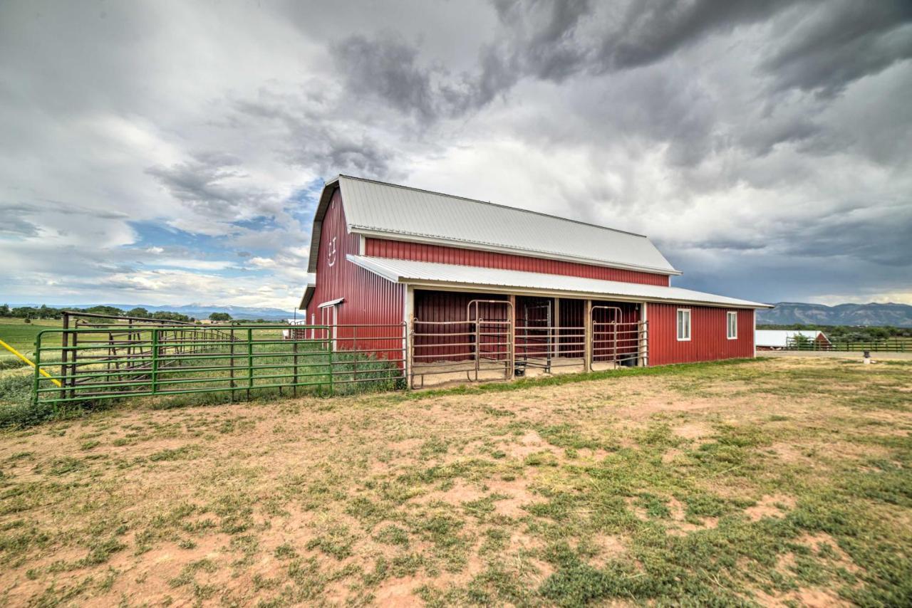 Walkout Apartment With Mtn View On Cortez Ranch Eksteriør billede